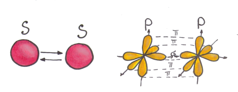 Рис.2 Сигма и пи связь в молекуле между атомами